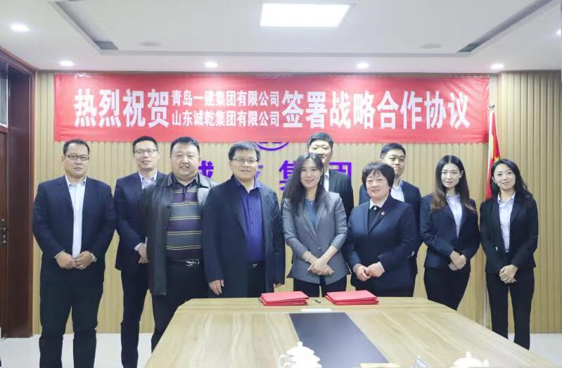 青岛佰福国际集团与山东诚乾集团签订战略合作协议